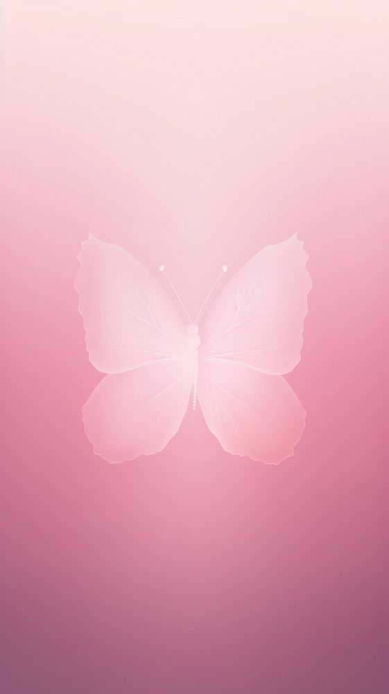 Blurred gradient white butterfly nature petal pink.