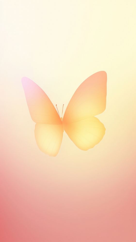 Blurred gradient butterfly yellow petal pink.