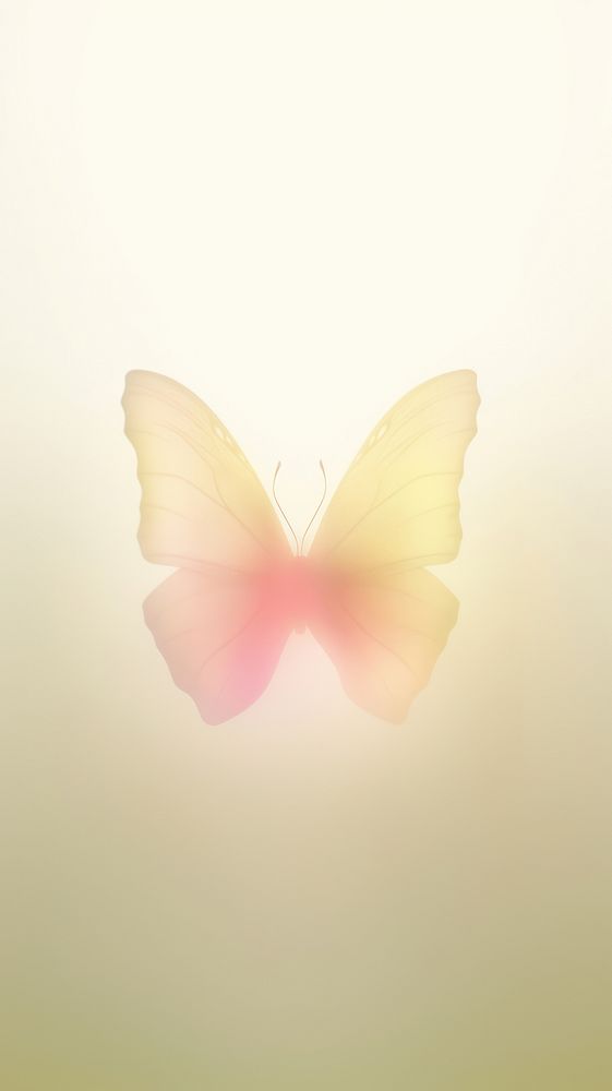 Blurred gradient butterfly animal yellow nature.