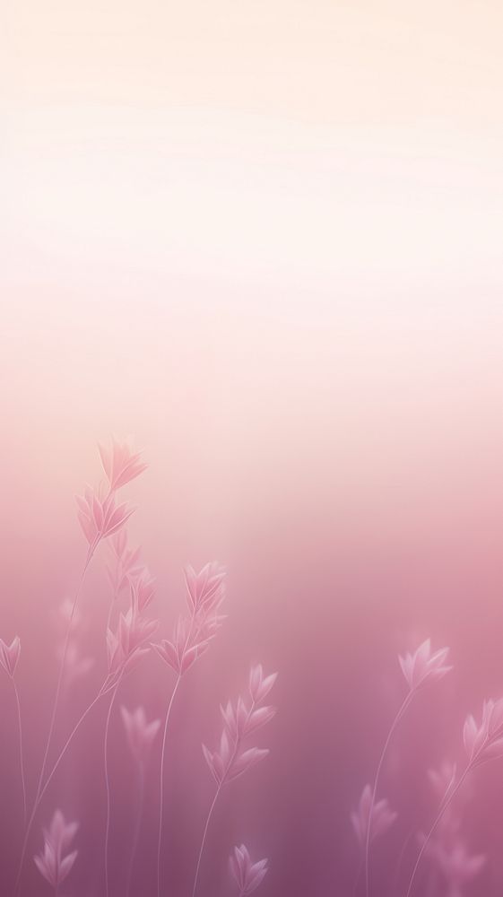 Blurred gradient pink meadow backgrounds outdoors nature.