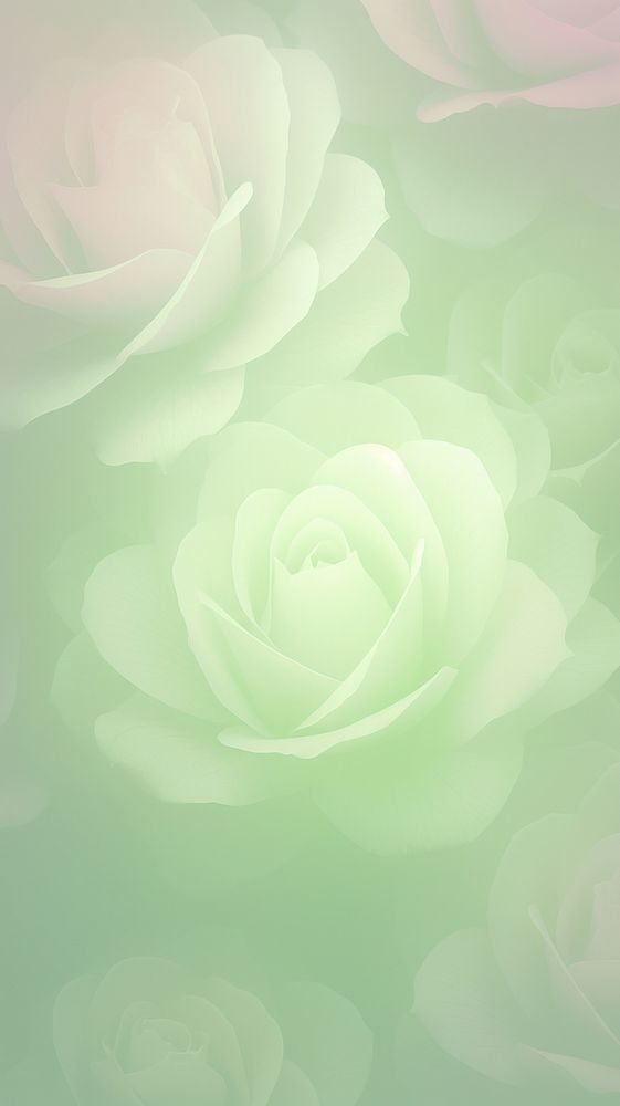 Blurred gradient roses pattern green backgrounds flower.