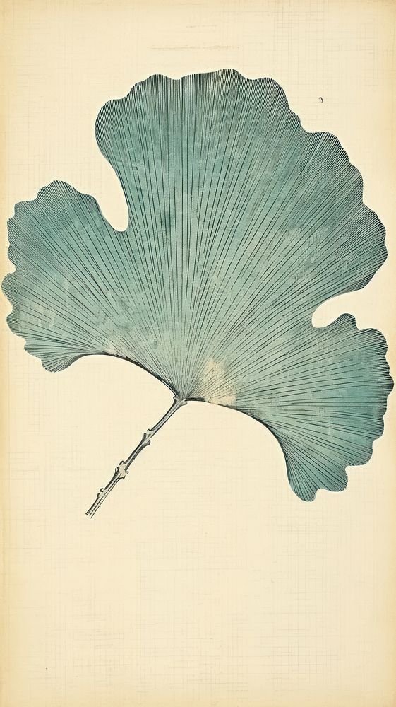 Japanese wood block print illustration of ginkgo leaf paper art turquoise.