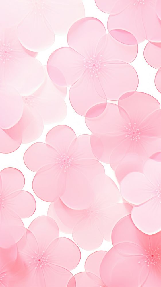 Pink flower pattern backgrounds petal plant.