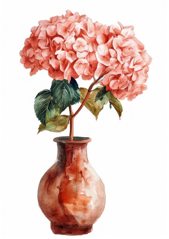 Vase flower watercolor art hydrangea plant.