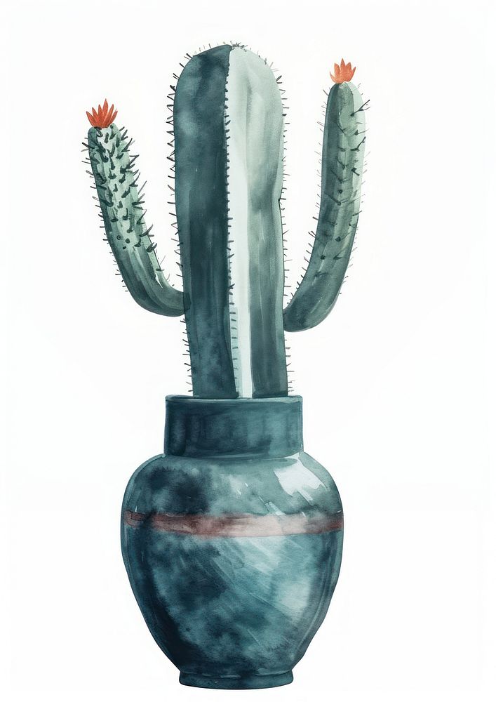 Vase watercolor cactus plant houseplant.