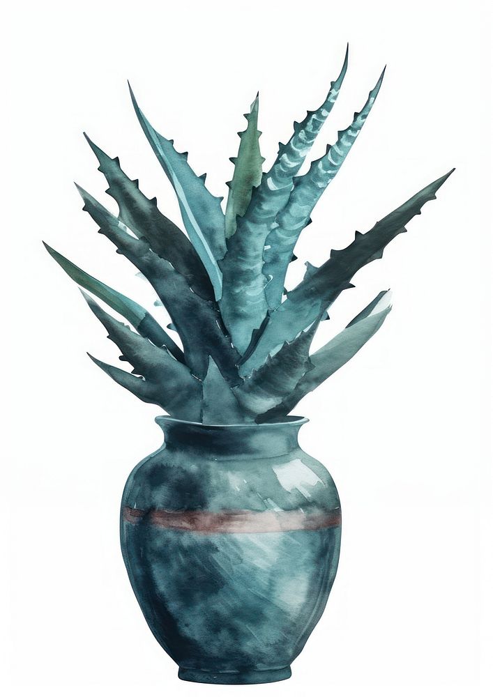 Vase watercolor aloe plant art.
