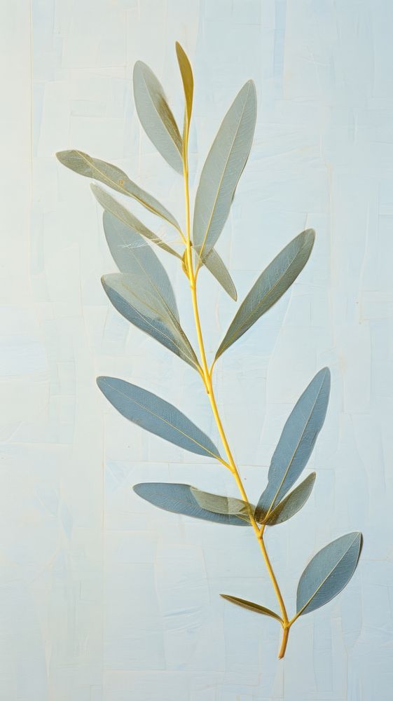 Olive Leaf Wallpaper Flower Plant 