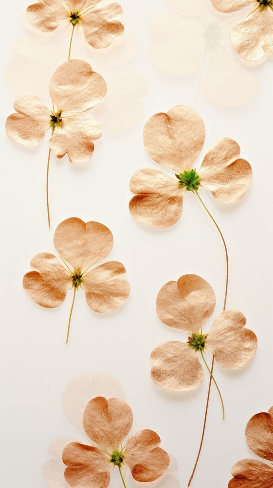 A clover wallpaper flower backgrounds petal.