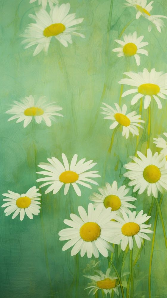 Pressed chamomile wallpaper flower backgrounds painting.