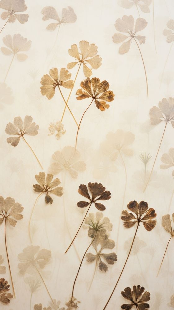 Real pressed clover wallpaper backgrounds pattern plant.