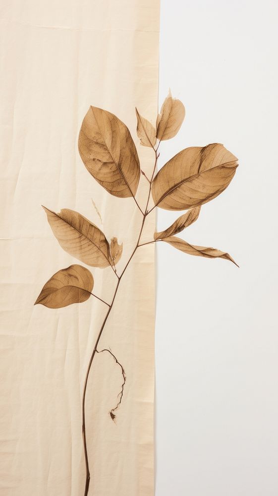 Coffee plant wallpaper leaf art crumpled.