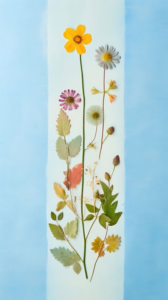 Pressed flower painting pattern plant.