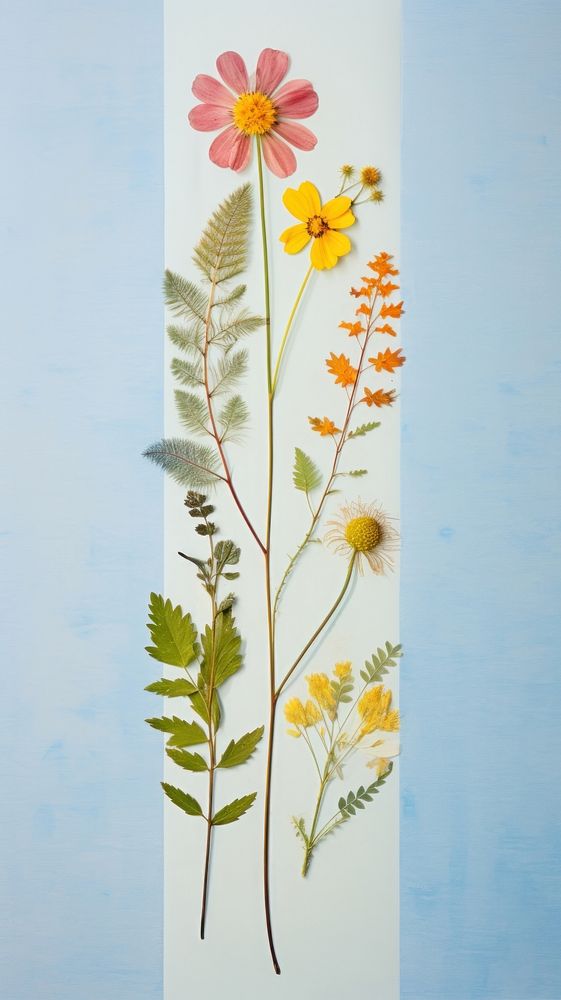 Pressed flower painting pattern plant.