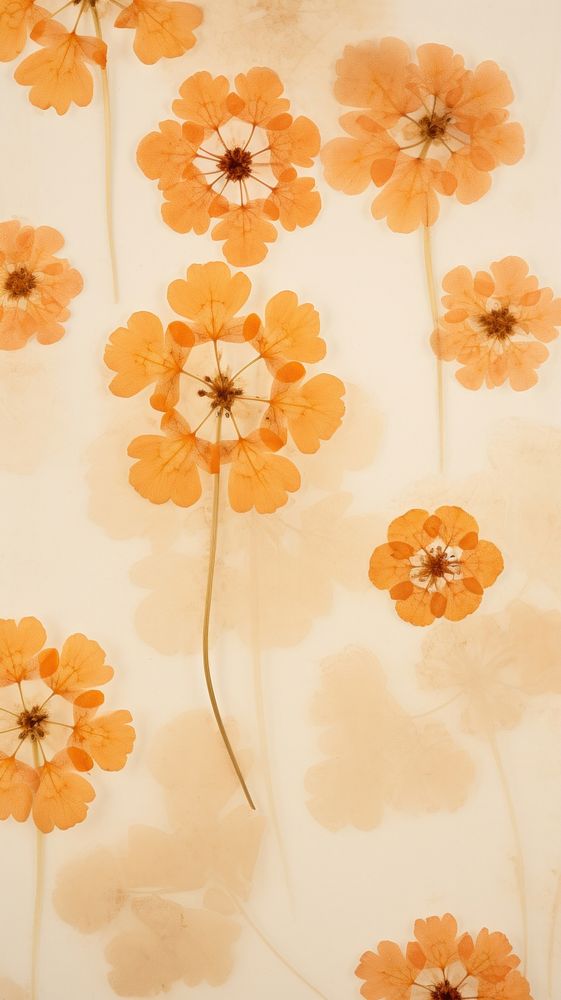 Pressed lantana wallpaper flower backgrounds pattern.