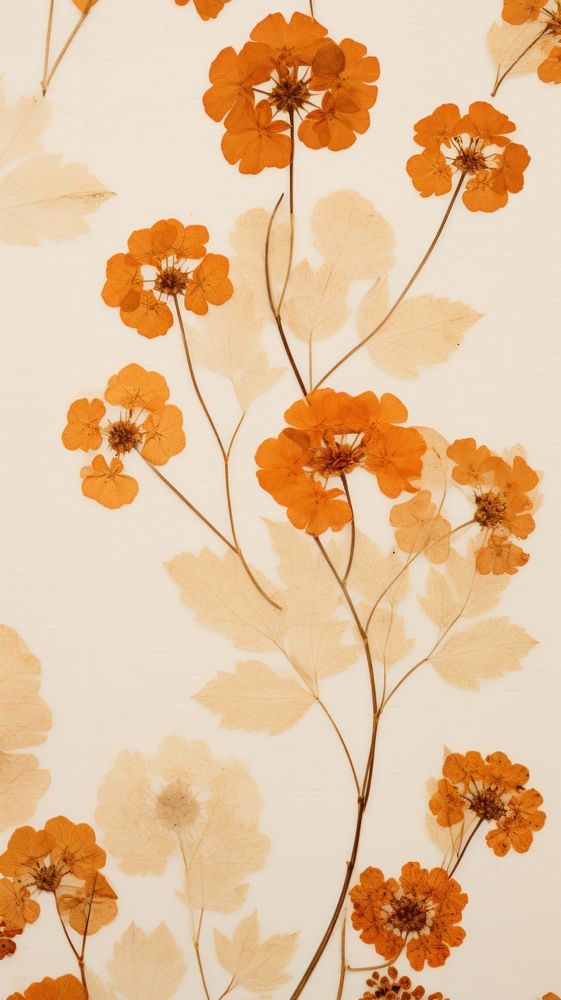 Pressed lantana wallpaper flower backgrounds textured.
