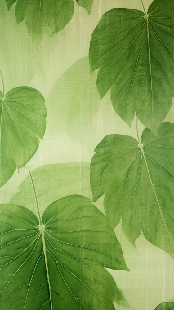 Tropic leaf wallpaper green backgrounds textured.
