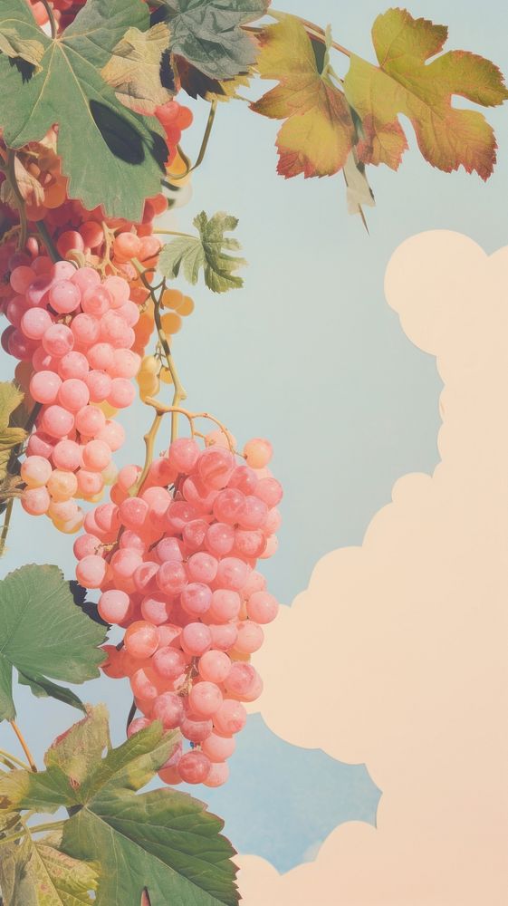 Aesthetic grapes craft collage art outdoors painting.