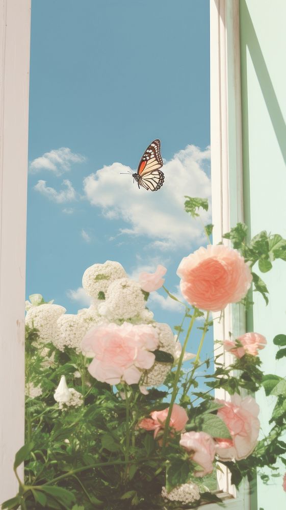 Surreal window craft collage butterfly flower outdoors.