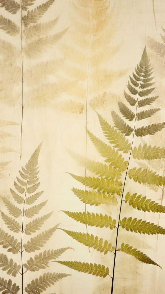 Real pressed fern leaves backgrounds wallpaper textured.