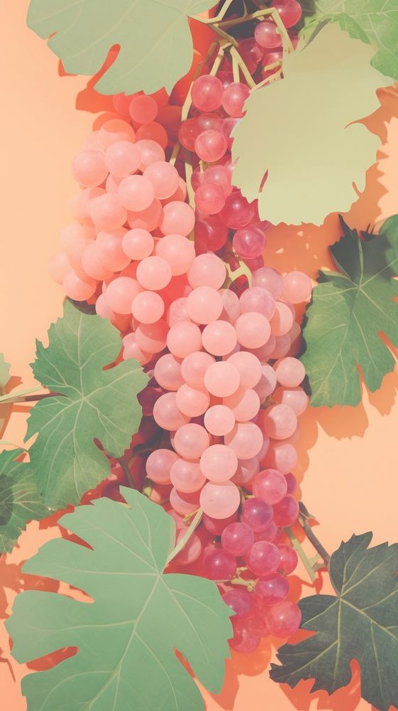 Grapes plant vine food.