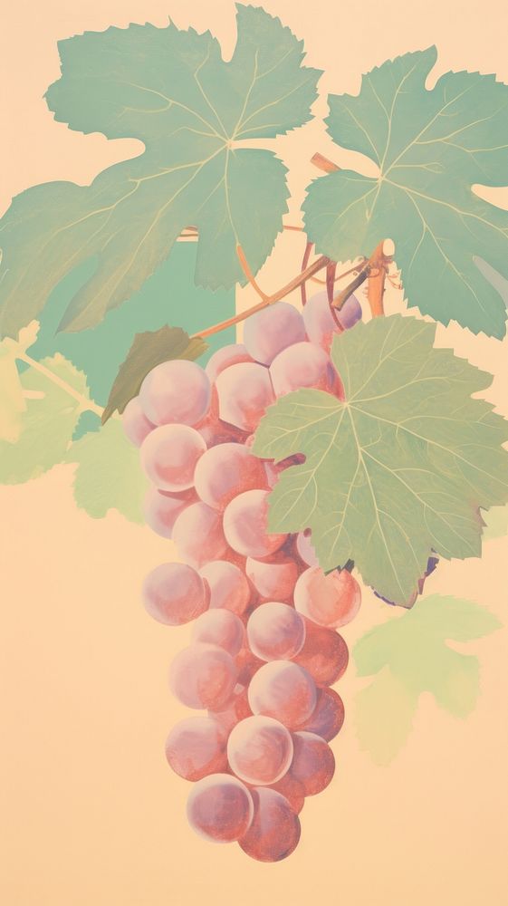 Grapes plant vine agriculture.