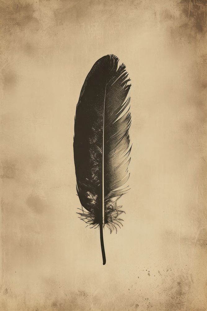 Litograph minimal vintage Feather feather lightweight monochrome.