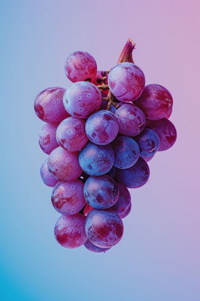 Photo of grape grapes fruit plant.