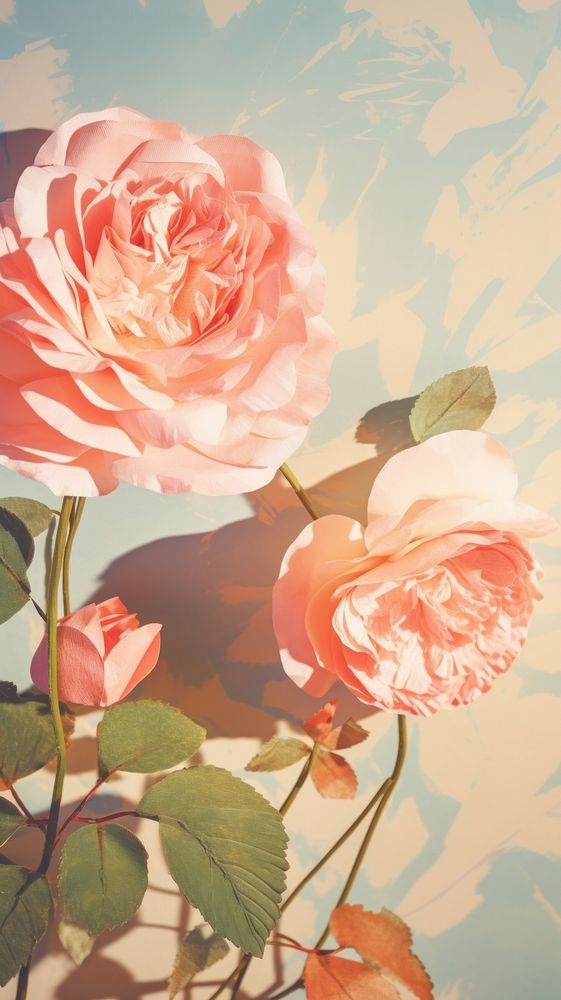 Rose art painting flower.