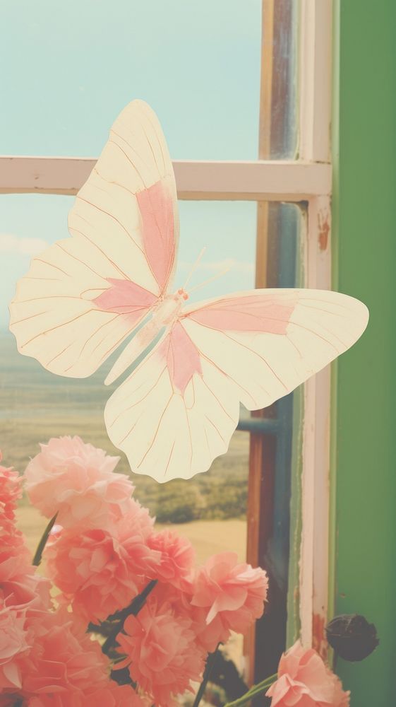 Butterfly flower window petal.