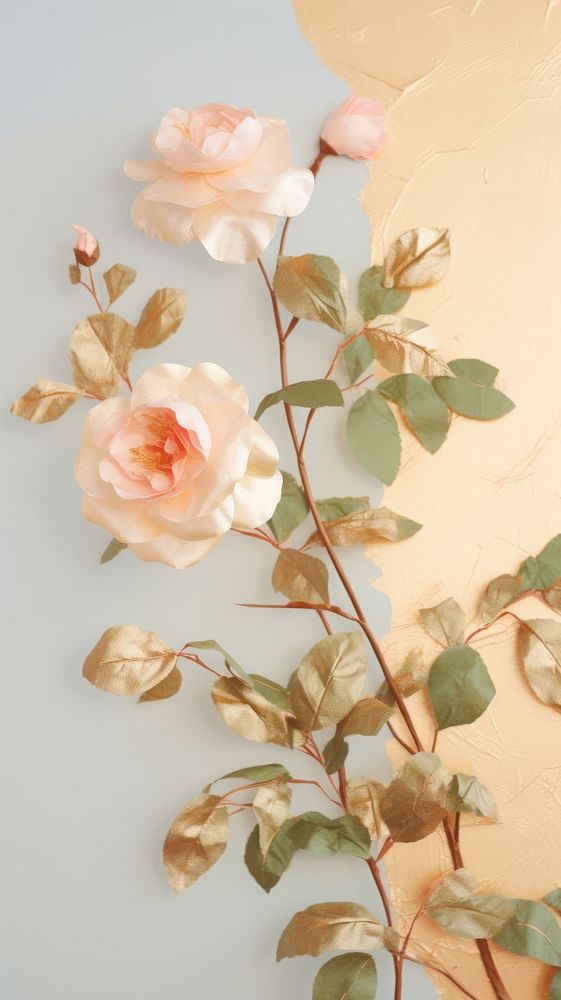 Gold rose with vine flower plant petal.