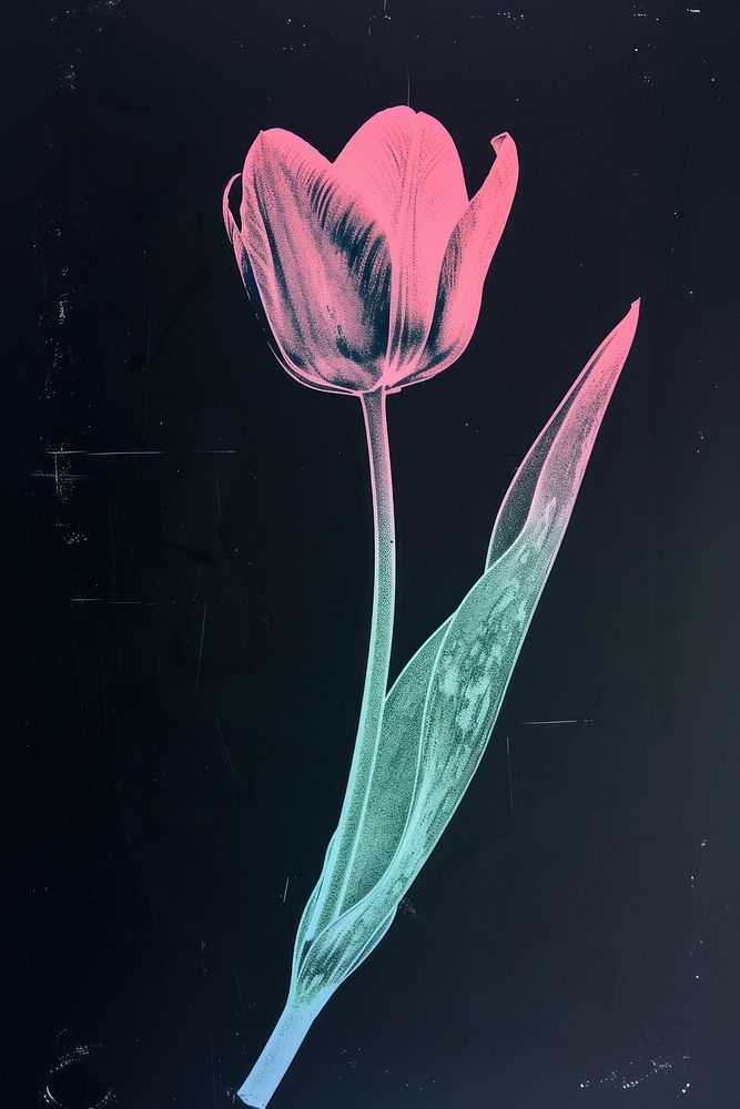 Silkscreen of a tulip art flower nature.