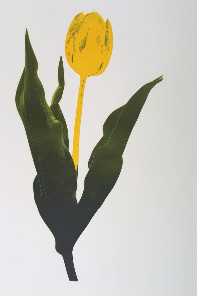 Silkscreen of a tulip nature flower yellow.