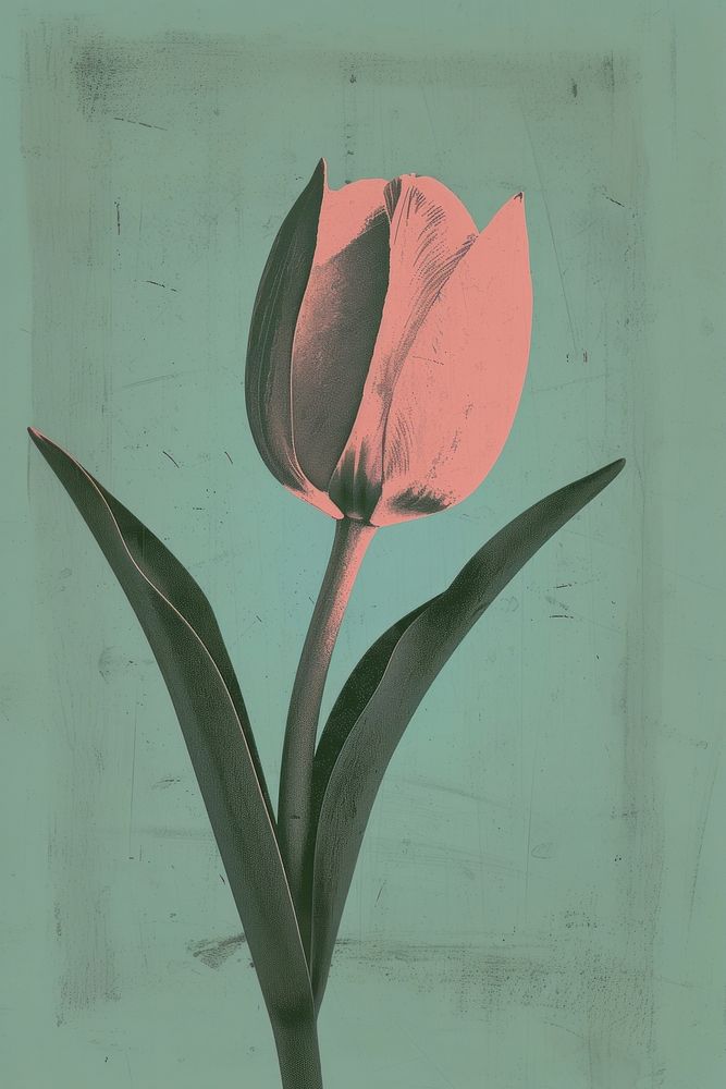 Silkscreen of a tulip art painting flower.