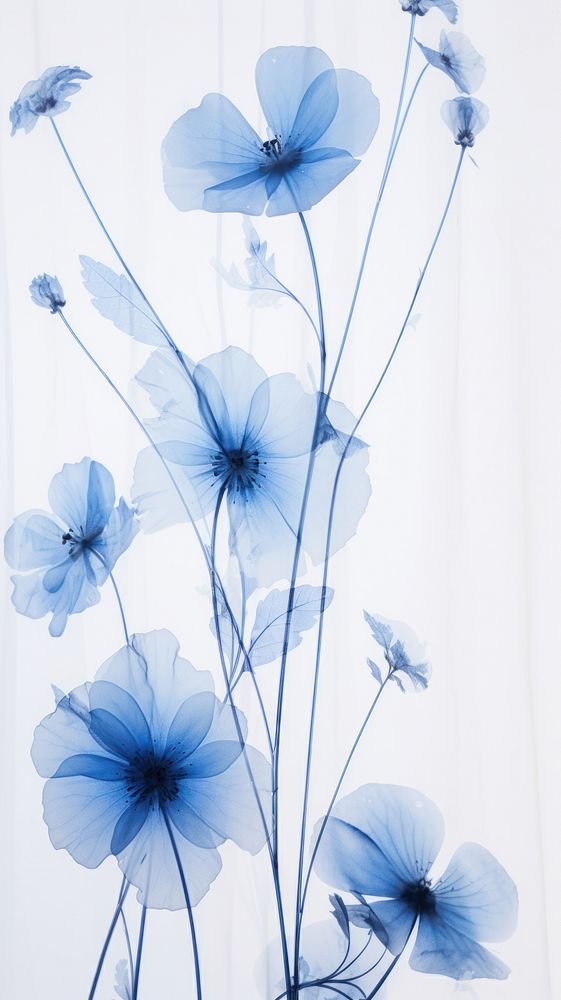 Pressed blue flowers pattern petal plant.