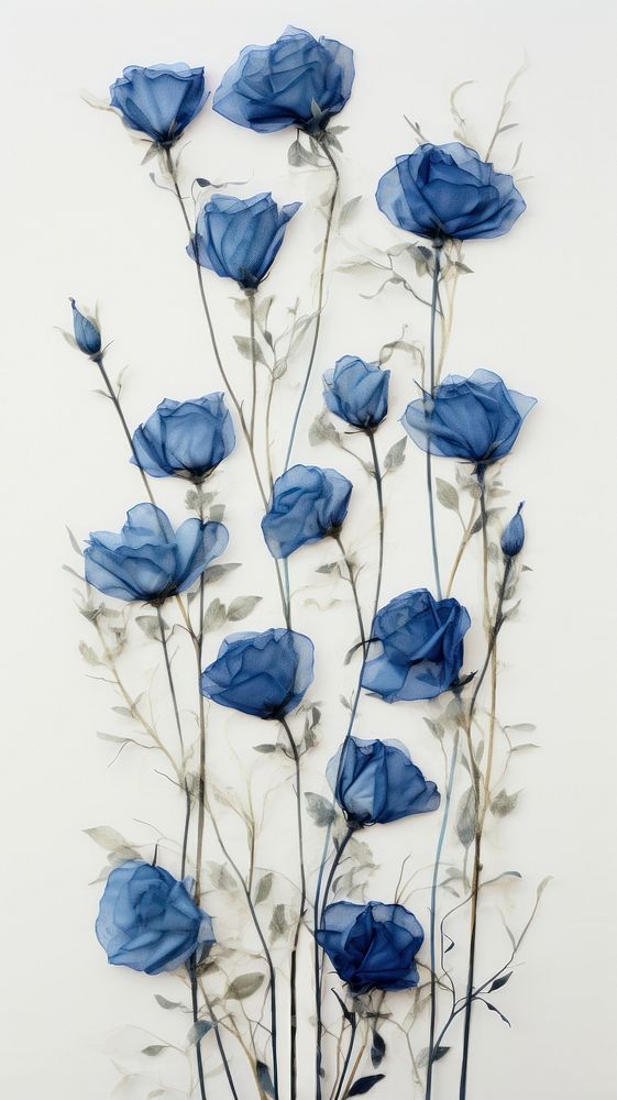 Pressed blue rose flowers plant petal art.