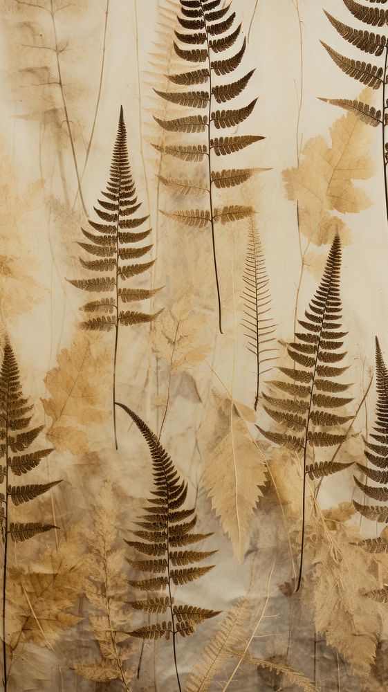 Pressed ferns backgrounds wallpaper textured.
