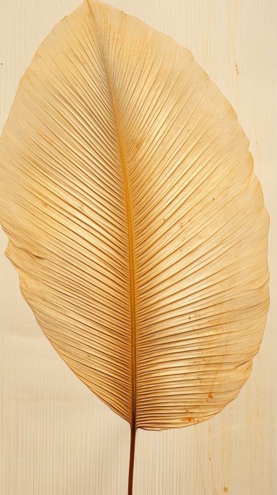 Pressed palm leaf textured flower.