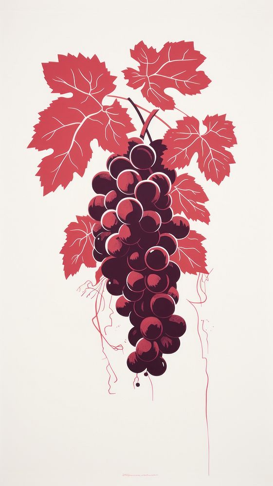 Litograph minimal wine with grape grapes plant food.