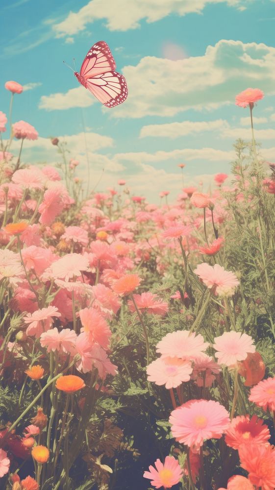 Butterfly with flower field landscape outdoors nature.