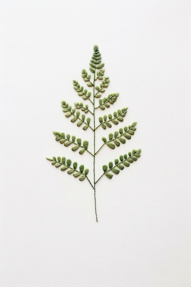 Little fern pattern plant leaf.