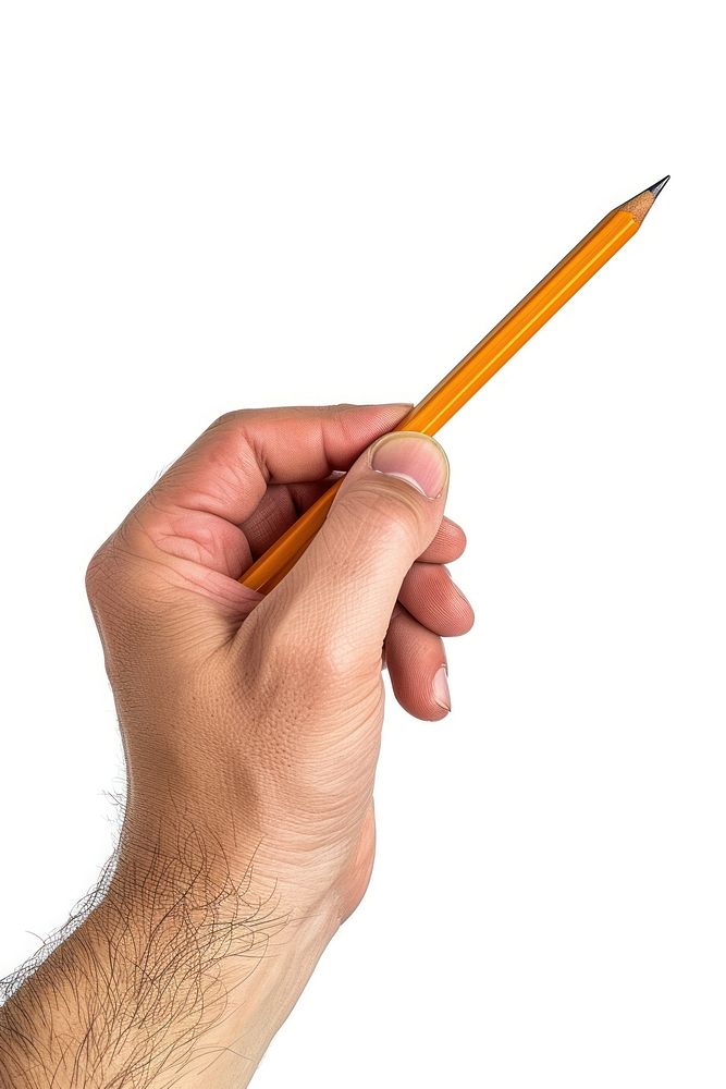Man holding a pencil in a hand and writing white background screwdriver activity.