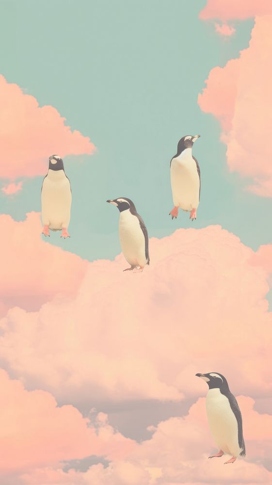 Penguins animal cloud bird.