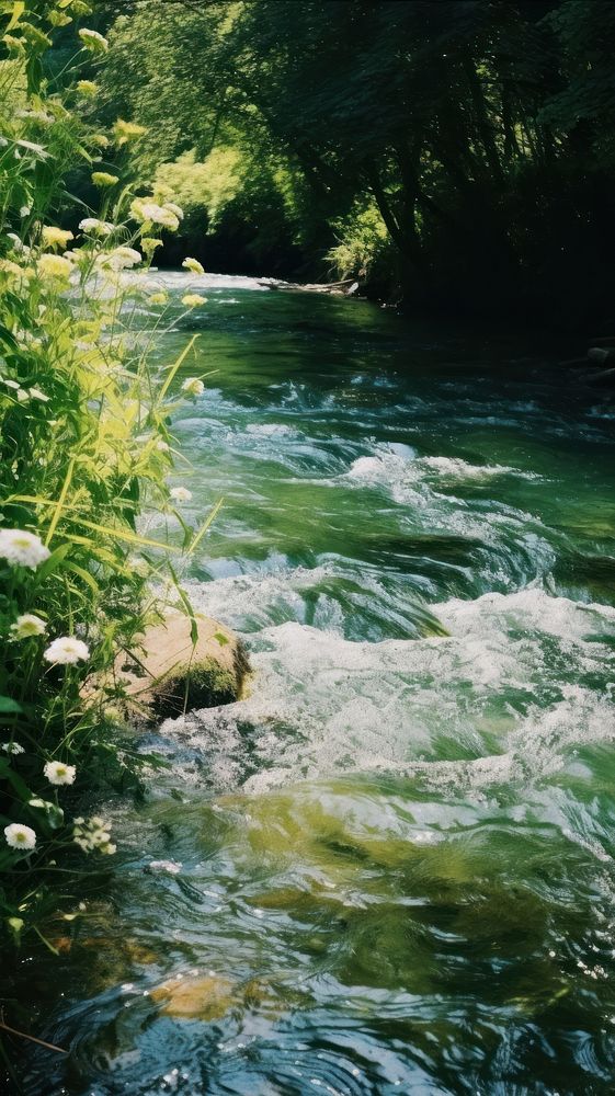 Summer wallpaper river wilderness outdoors.