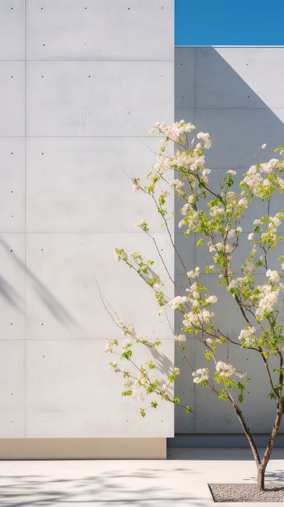 Large building wall in spring outdoors architecture blossom.