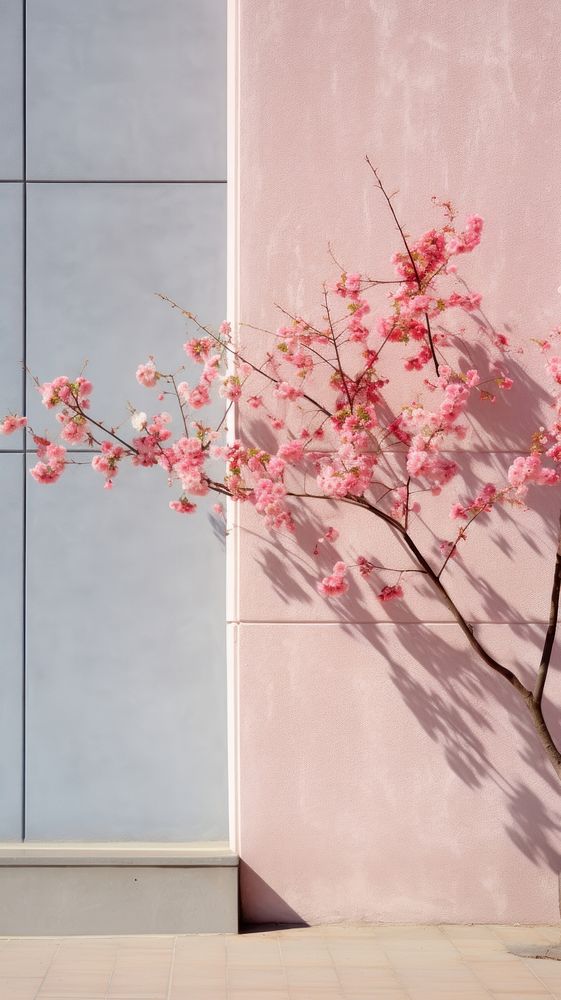 Large building wall in spring outdoors blossom flower.