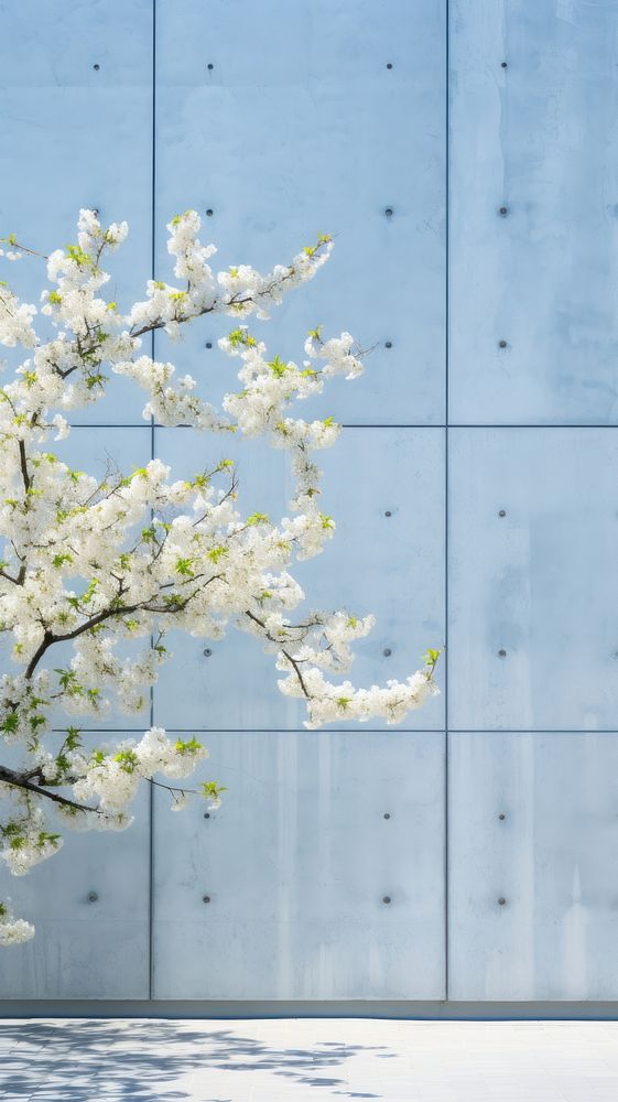 Large building wall in spring architecture outdoors blossom.
