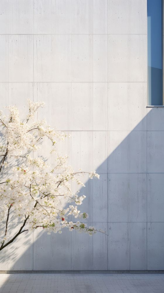 Large building wall in spring architecture outdoors blossom.