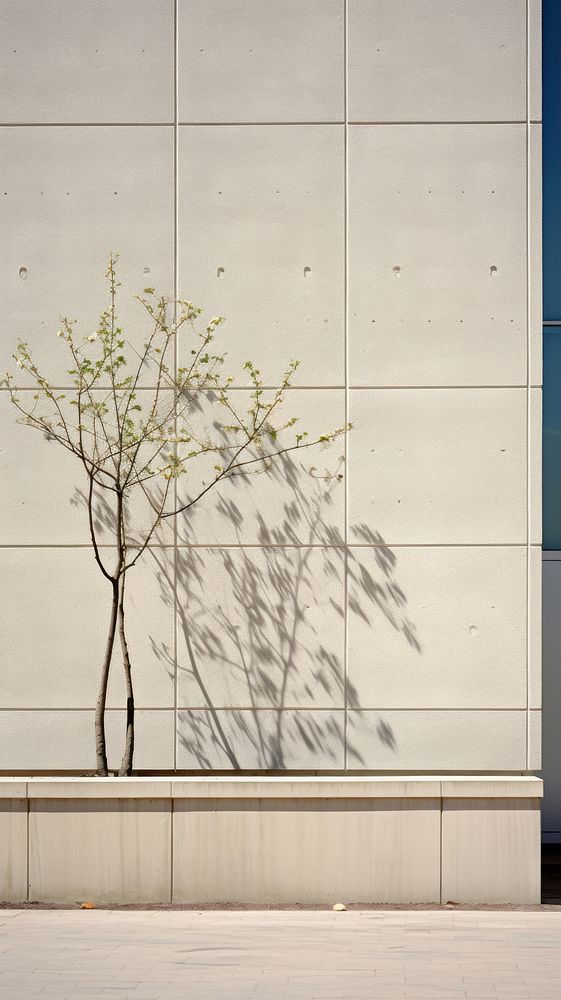 Large building wall in spring architecture outdoors plant.