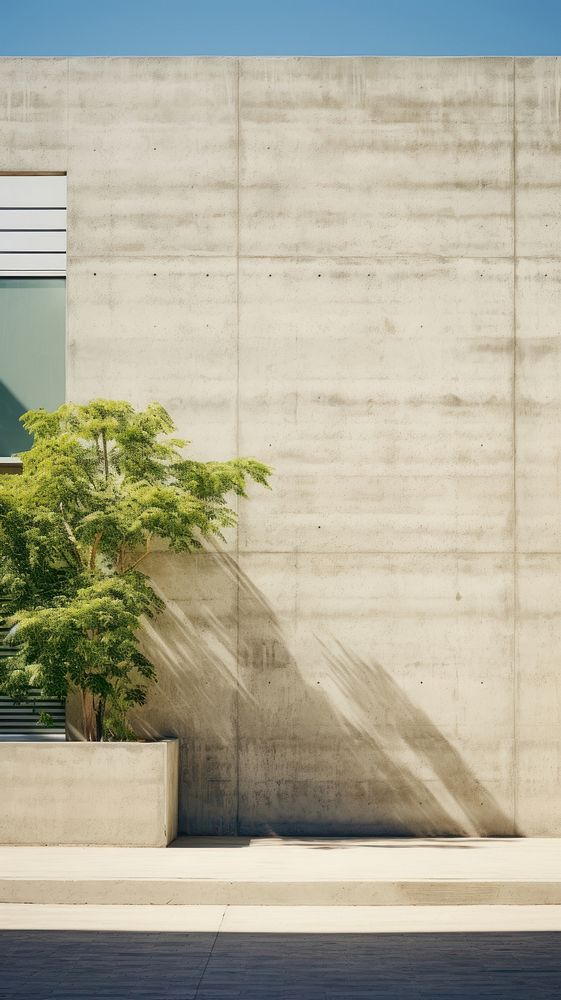 Large building wall in summer architecture outdoors plant.