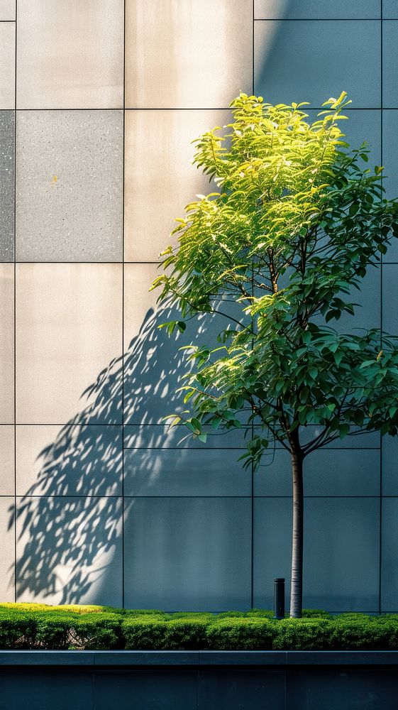 Large building wall outdoors architecture nature.